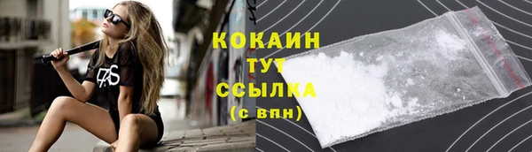 твердый Богданович