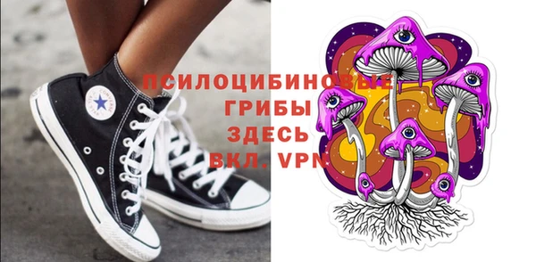 твердый Богданович