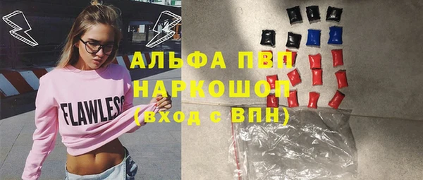 твердый Богданович