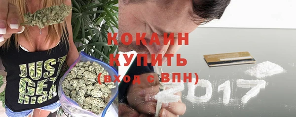 твердый Богданович