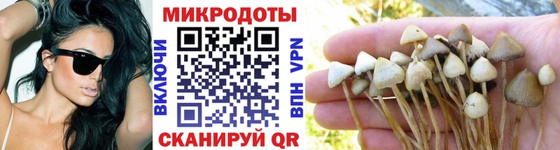 Псилоцибиновые грибы Cubensis  закладки  Константиновск 
